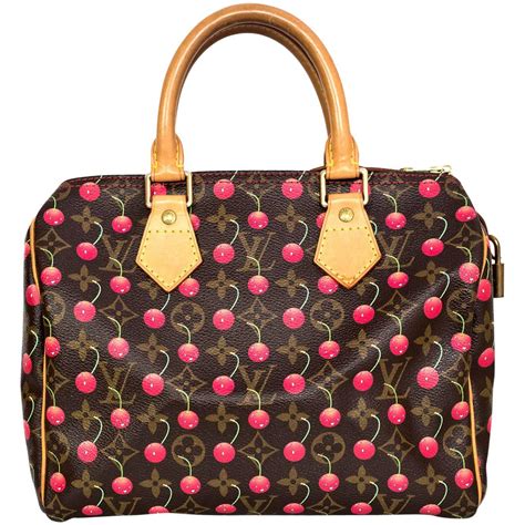 louis vuitton speedy 25 damier|Louis Vuitton cherry speedy 25.